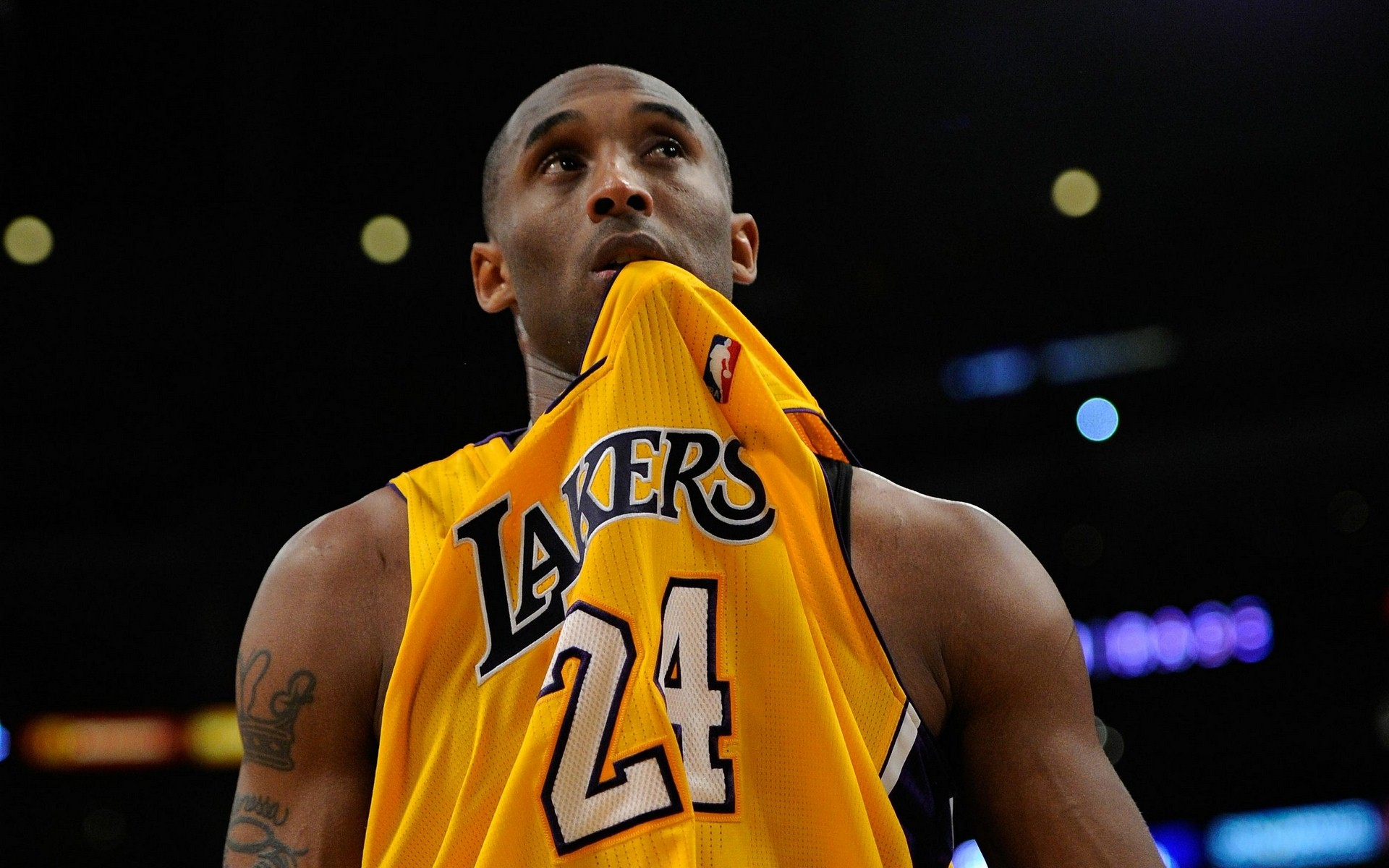 同时强调比 同时强调比