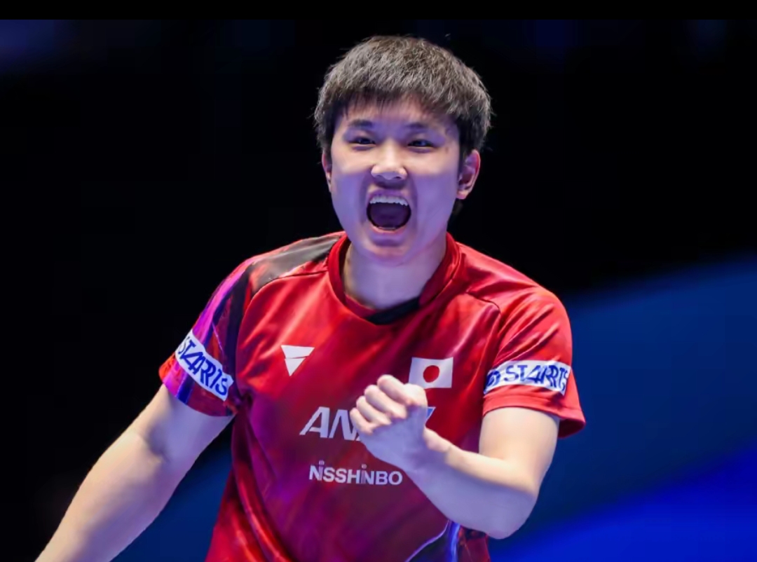 媒体多是从 媒体多是从