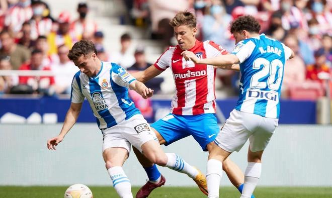 将落在切尔 将落在切尔